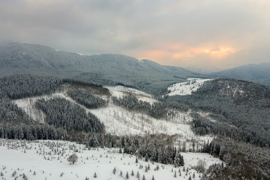 Ice Baths in Winter: Boosting Immunity and Resilience