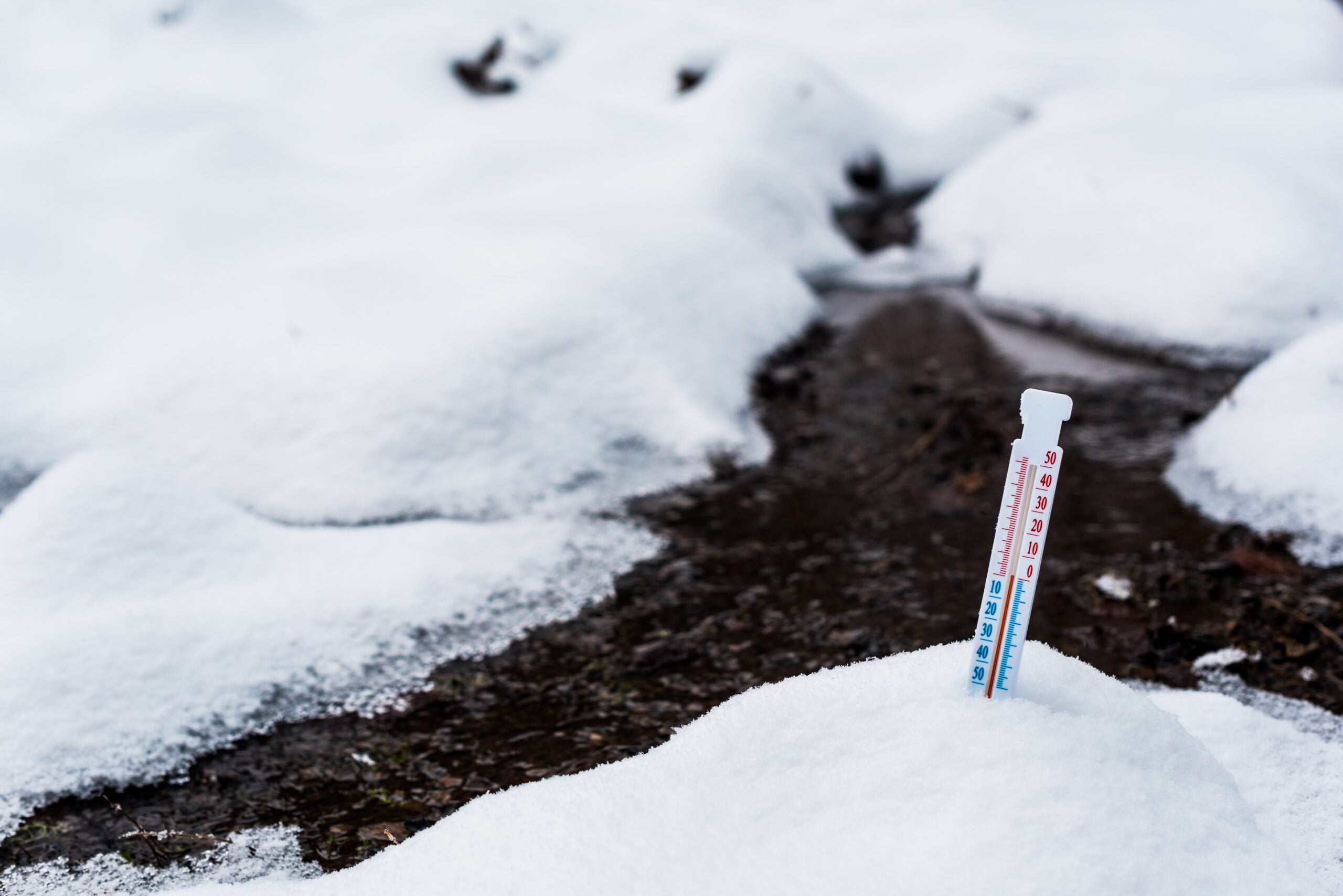 Time to chill: Exploring the temperature ranges used in portable ice b ...