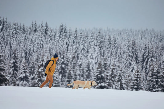 Winter Wonderland Wellness: A Guide to Ice Baths this Christmas